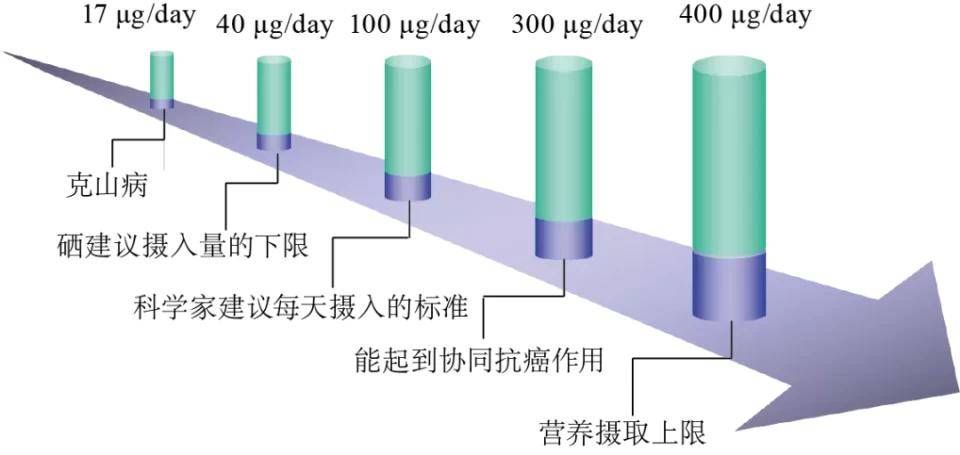 化疗 补硒吗