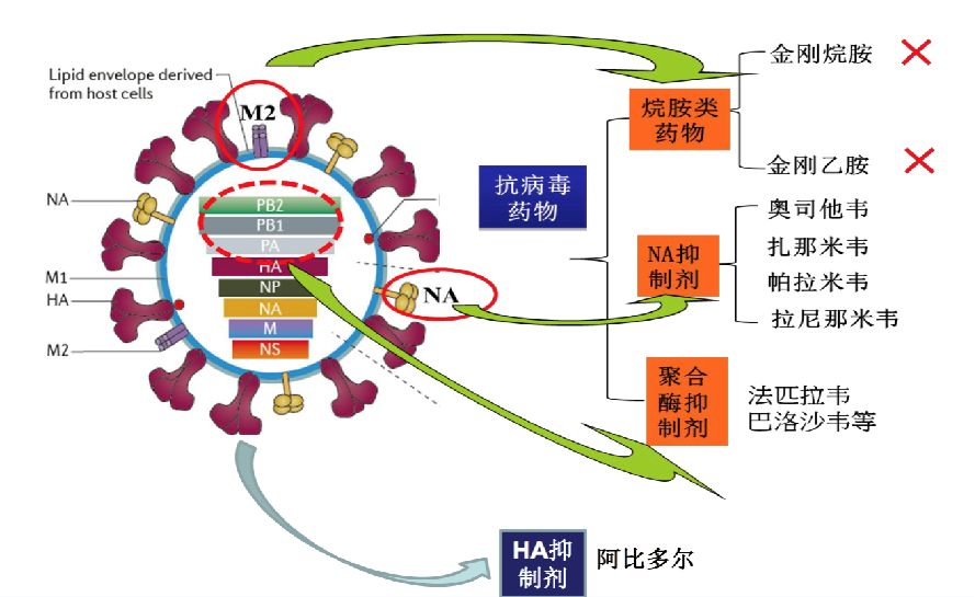 补硒白带异常