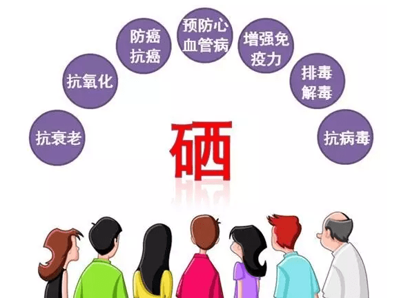 全民补硒感想