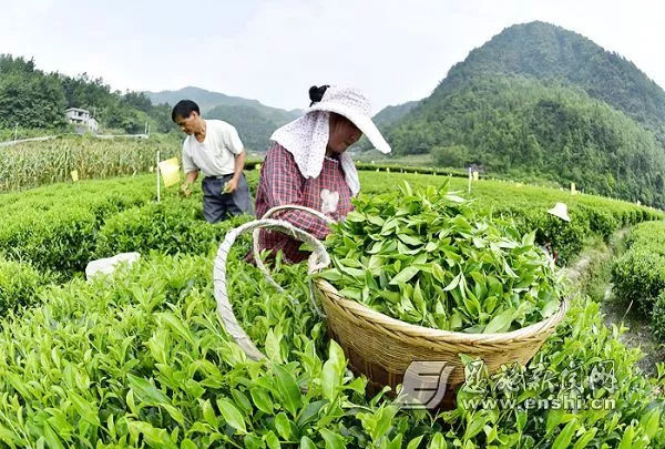 恩施补硒宾馆