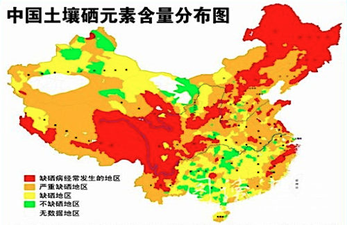 中风后 补硒