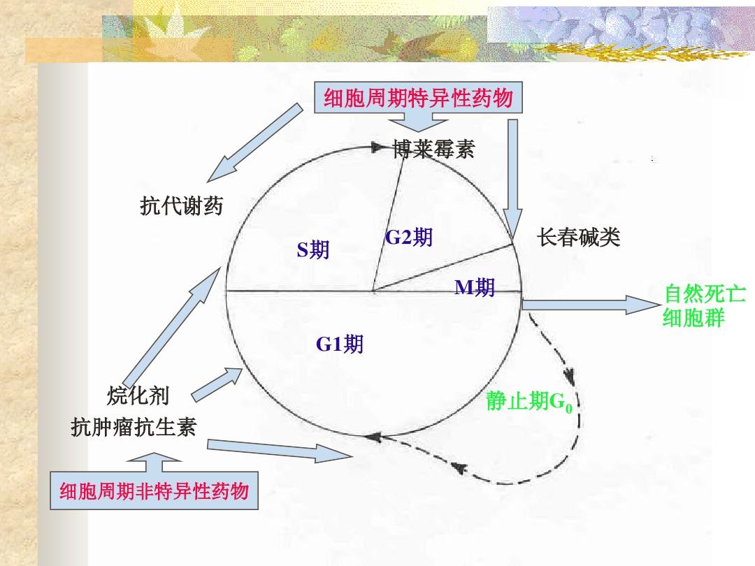 减轻化疗补硒