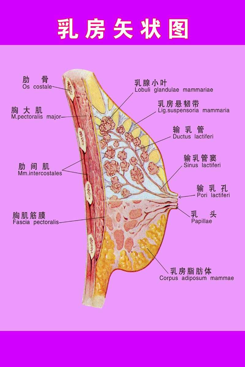 人体补硒胸闷