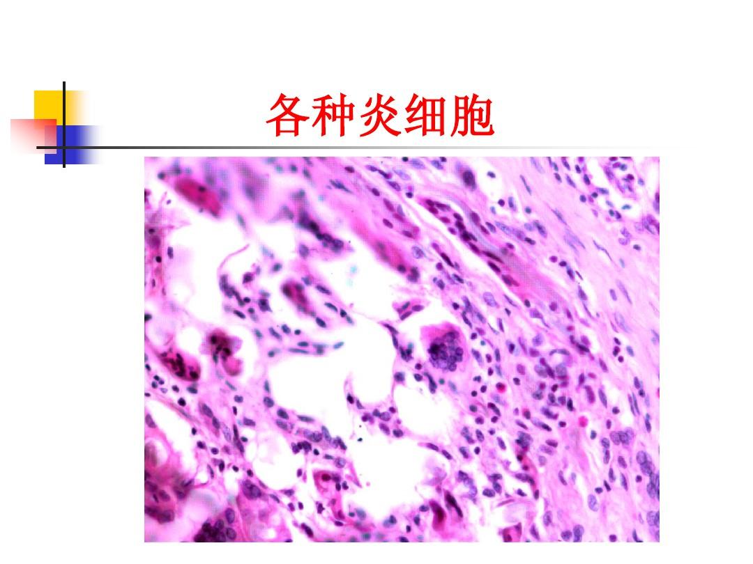 补硒正常反应