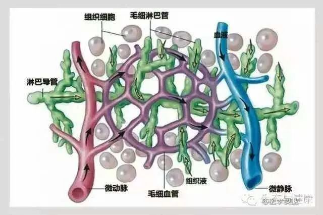 儿童补硒时间