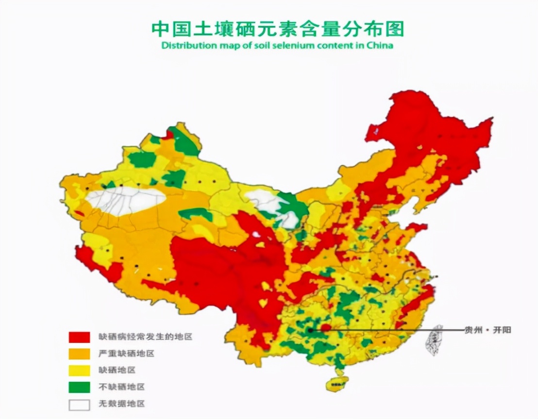 硒是抵抗癌症、提高免疫力的必需元素！吃哪些食物能补充？告诉您