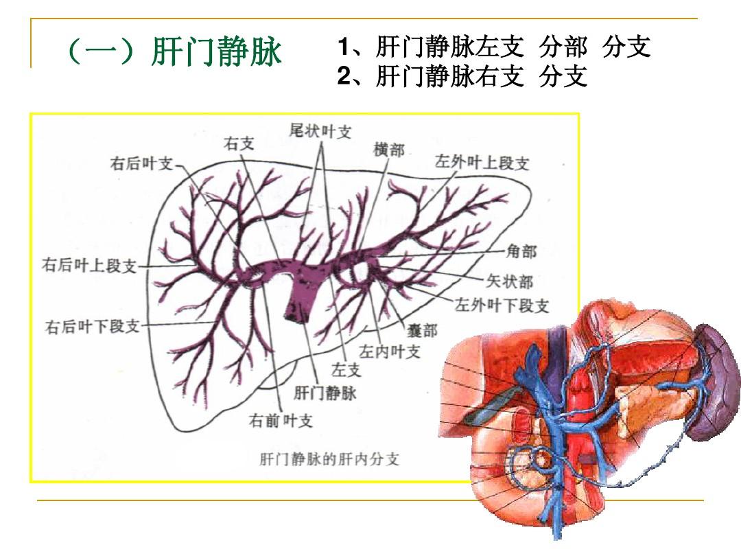 瘢痕疙瘩补硒