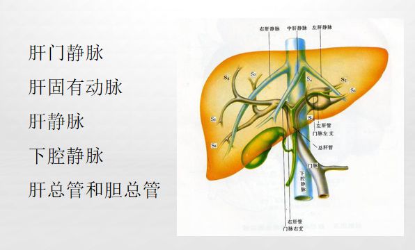 瘢痕疙瘩补硒