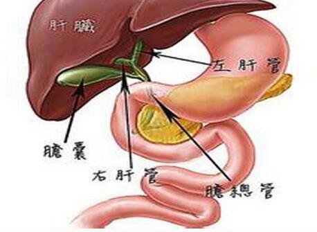 小麦怎样补硒