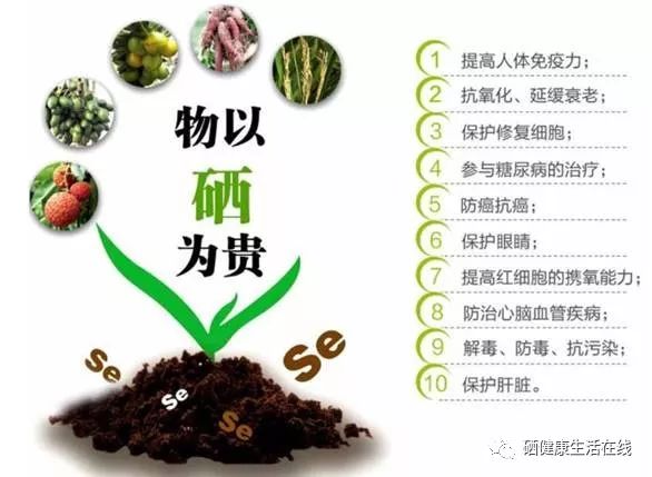 补硒最新研究