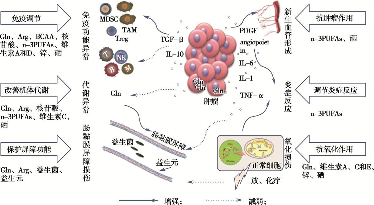 于康补硒元素