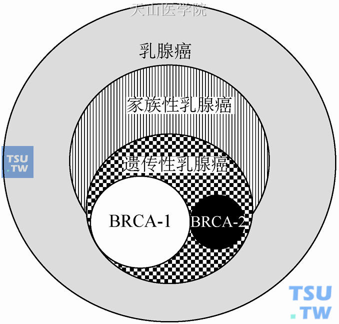 肝长息肉补硒