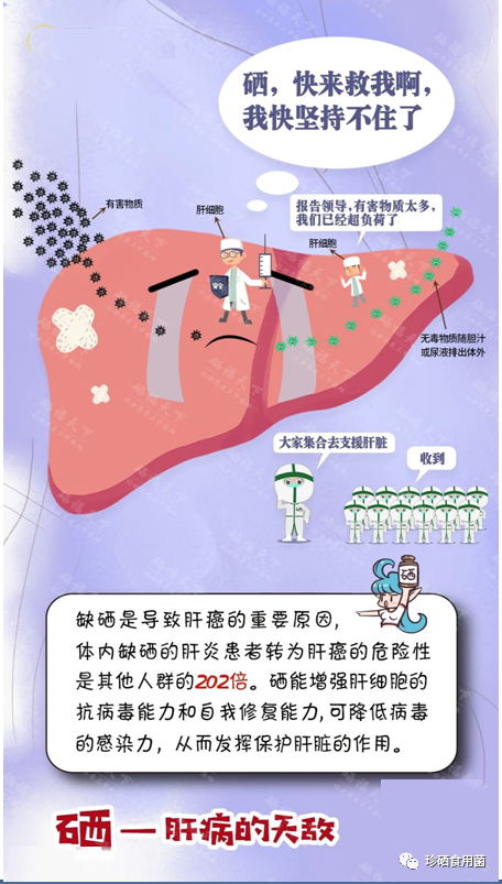 肝病要补硒吗