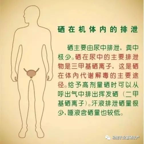 喝酒能补硒吗