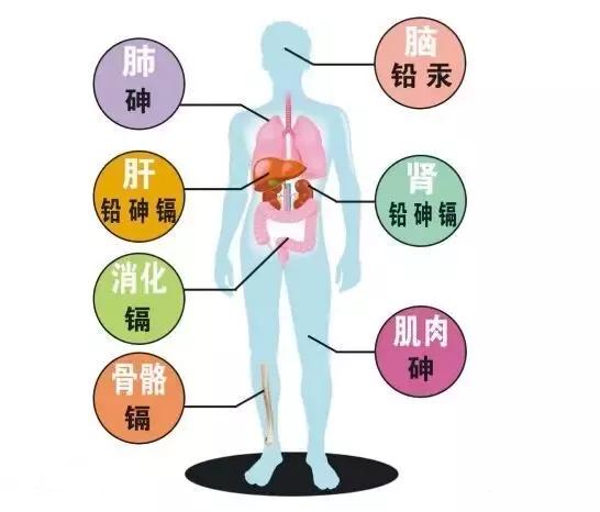 粗铅补硒工艺