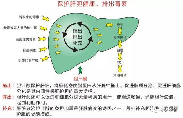 补硒药伤胃吗