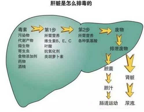 补硒药伤胃吗