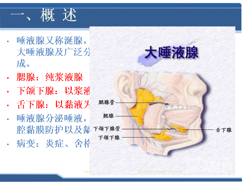 补硒对类风湿