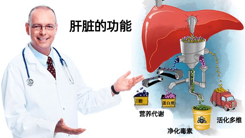 补硒解酒护肝