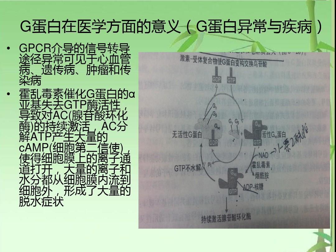 补肽硒油好吗