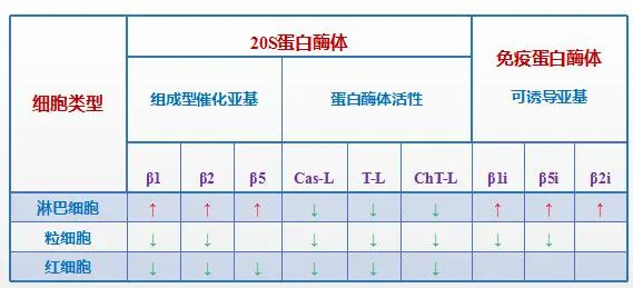 补肽硒油好吗