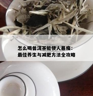 怎么喝普洱茶能使人暴瘦：更佳养生与减肥方法全攻略