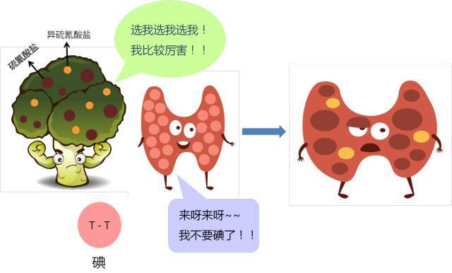 甲亢甲减补硒