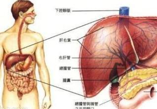 乙肝用补硒吗