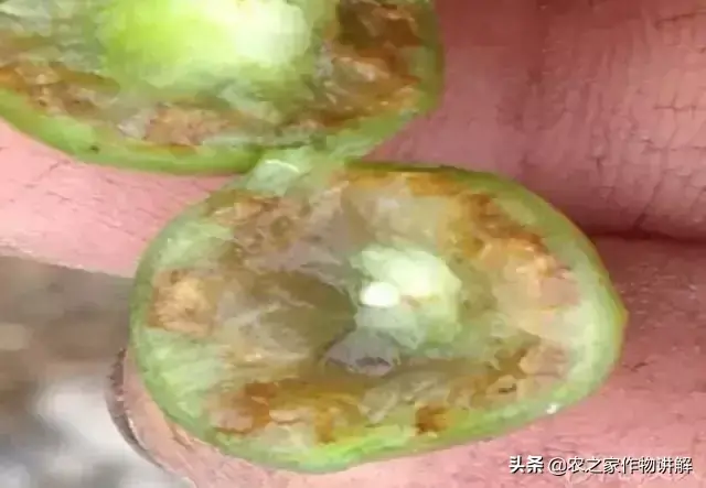 钾和硒怎么补