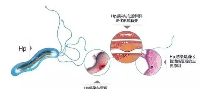 血液病人补硒