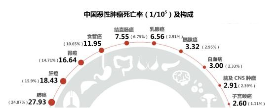 中志补硒产品