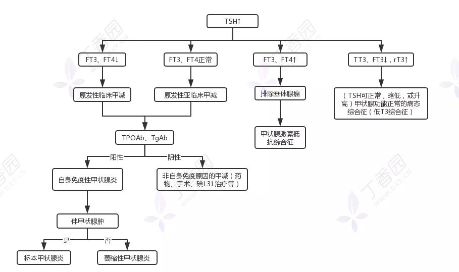 桥本病要补硒