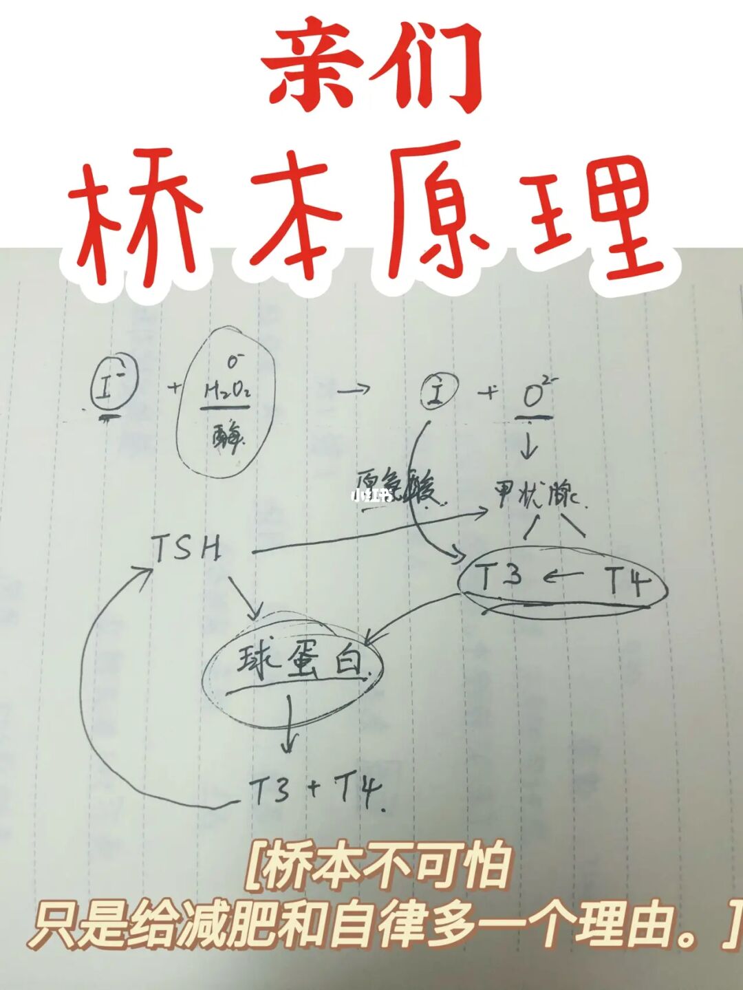 羊需要补硒吗