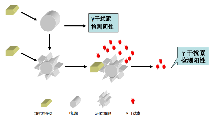 补硒好的病例