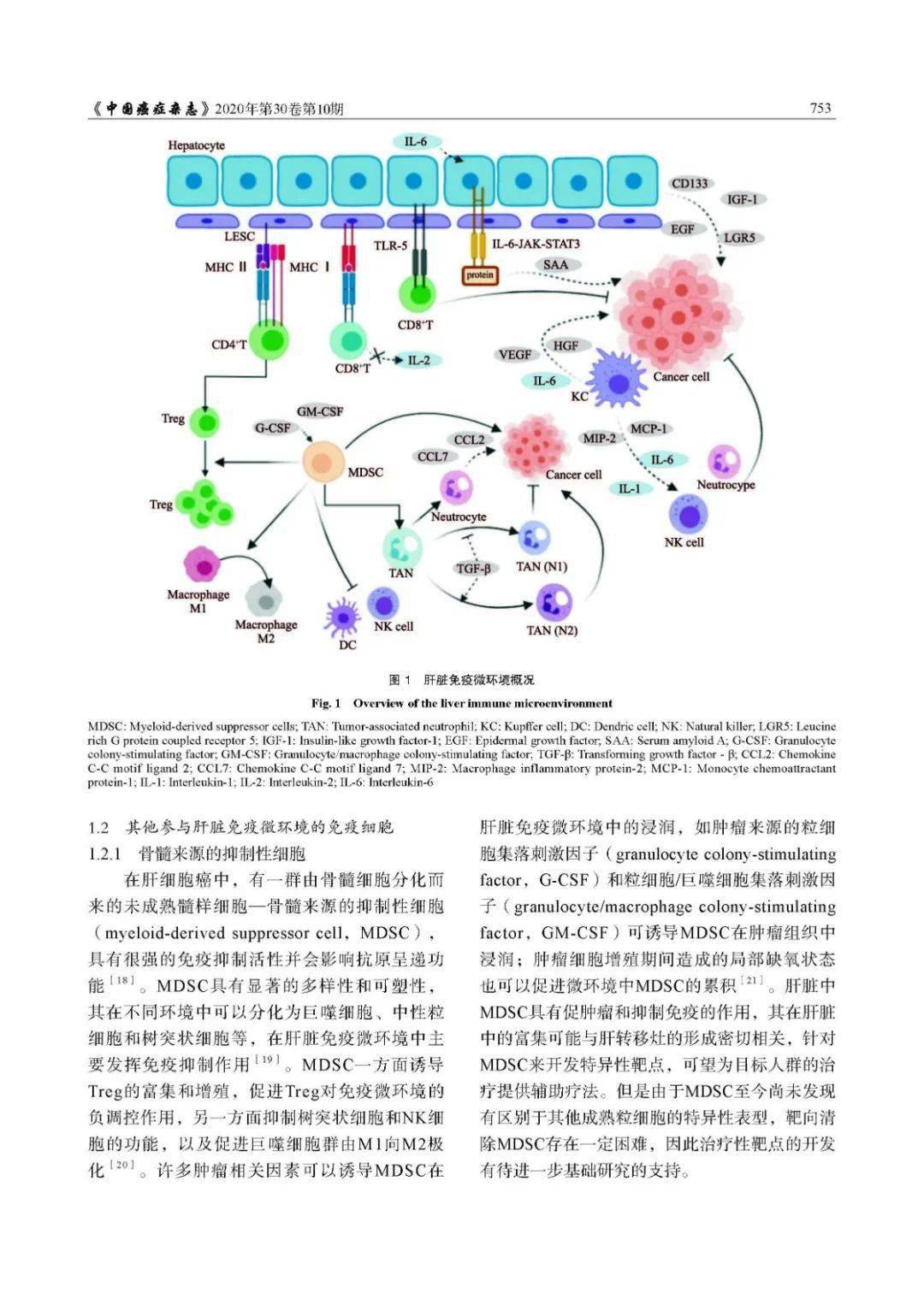 万物皆可补硒