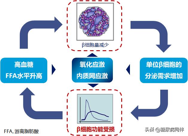 补硒治糖尿病