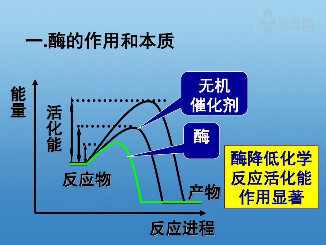 怎么样来补硒