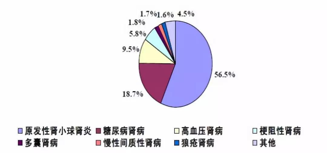 补硒对肾衰竭