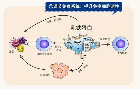 补硒长cd4