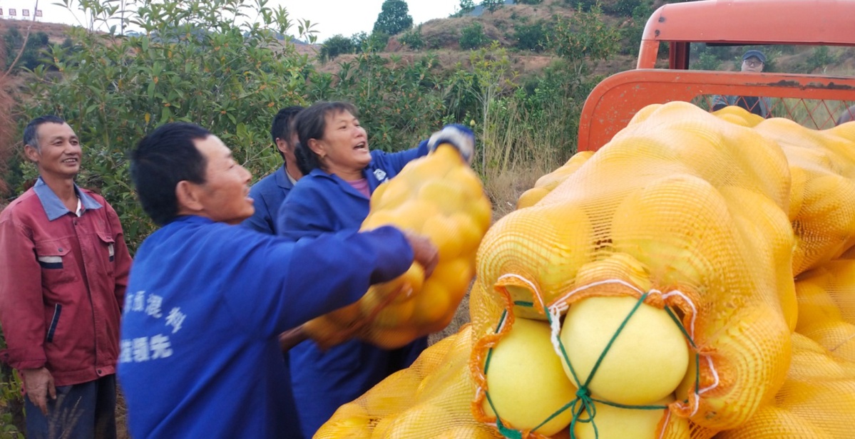 富硒产品宣传