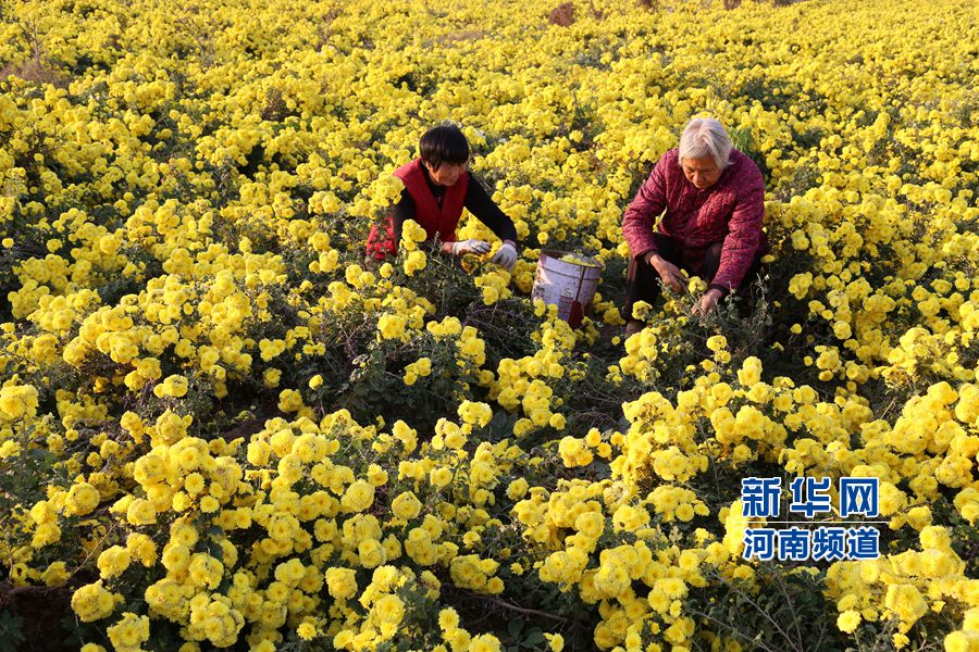 富硒中药产品