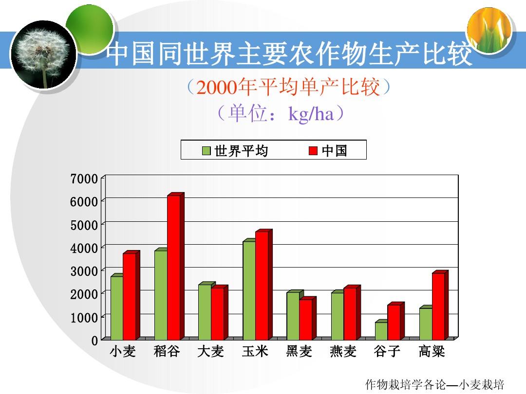 富硒小麦产品