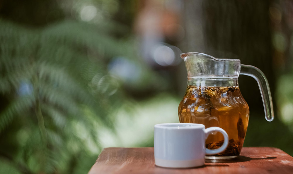 富硒茶苗品种