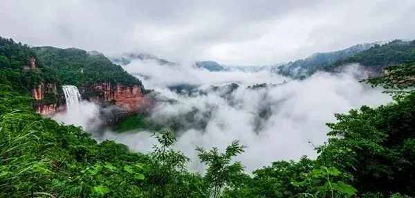 富富硒茶能看