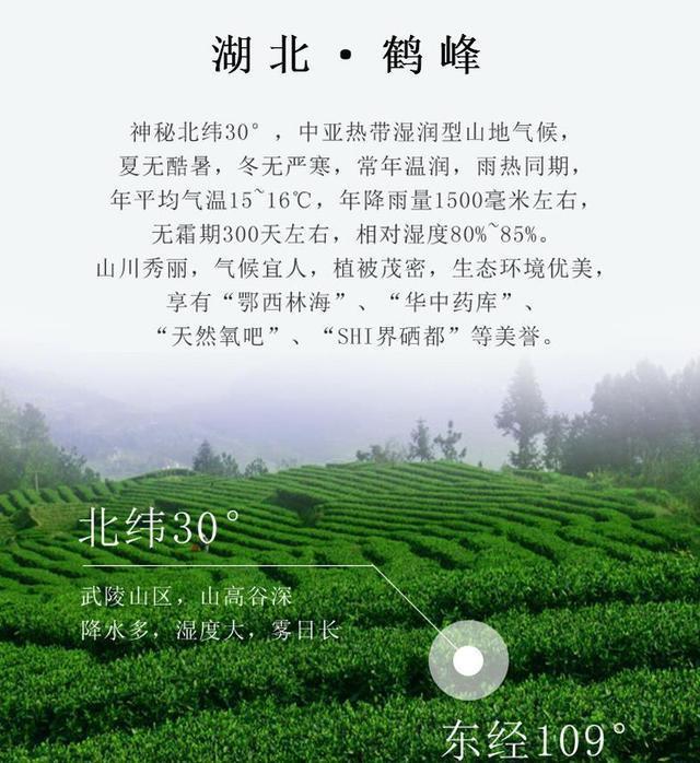 富硒茶是啥茶