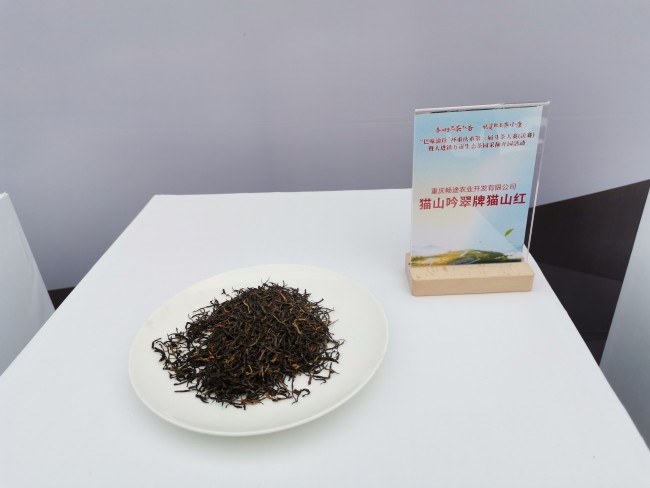 江津 富硒茶