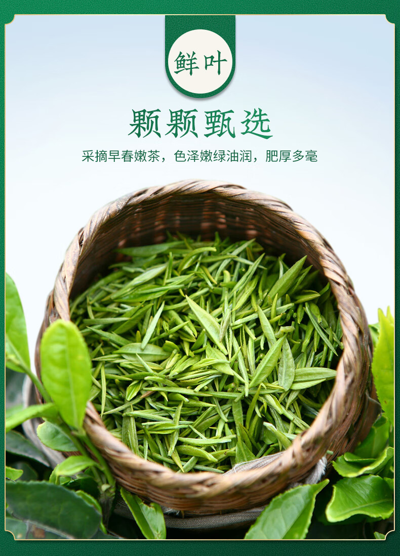 山里的富硒茶