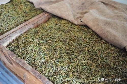 自贡富锌硒茶