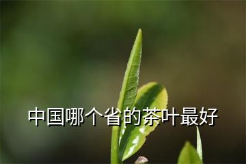 中国哪个省的茶叶最好