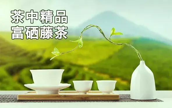 问题富硒藤茶